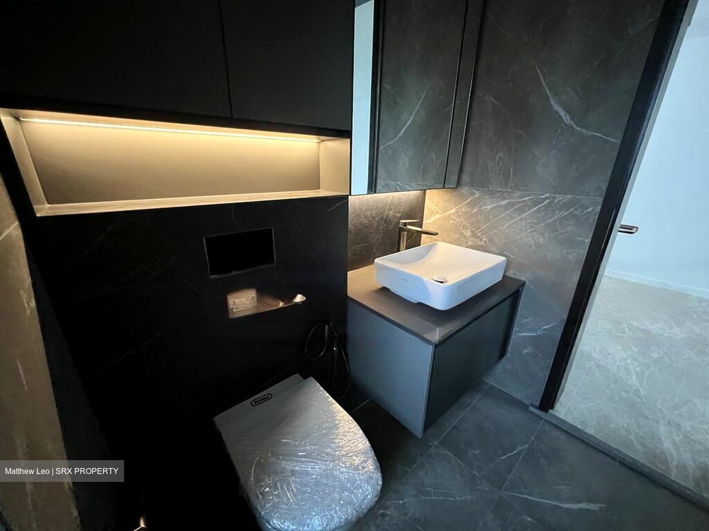 Irwell Hill Residences (D9), Apartment #445806481